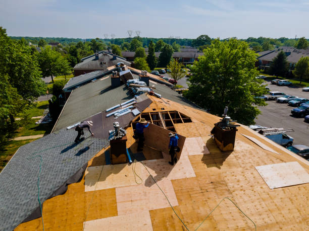 Trusted Roof Installation service in Osteen, FL - Brentwood Metal Roofing